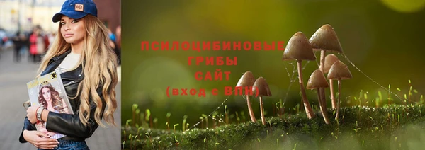 таблы Арсеньев