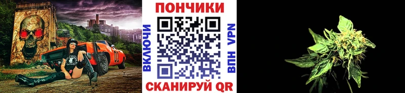 хочу   Никольск  Конопля индика 